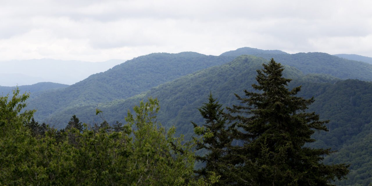 Laurel Falls Trail Improvements Planned