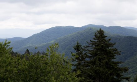 Laurel Falls Trail Improvements Planned