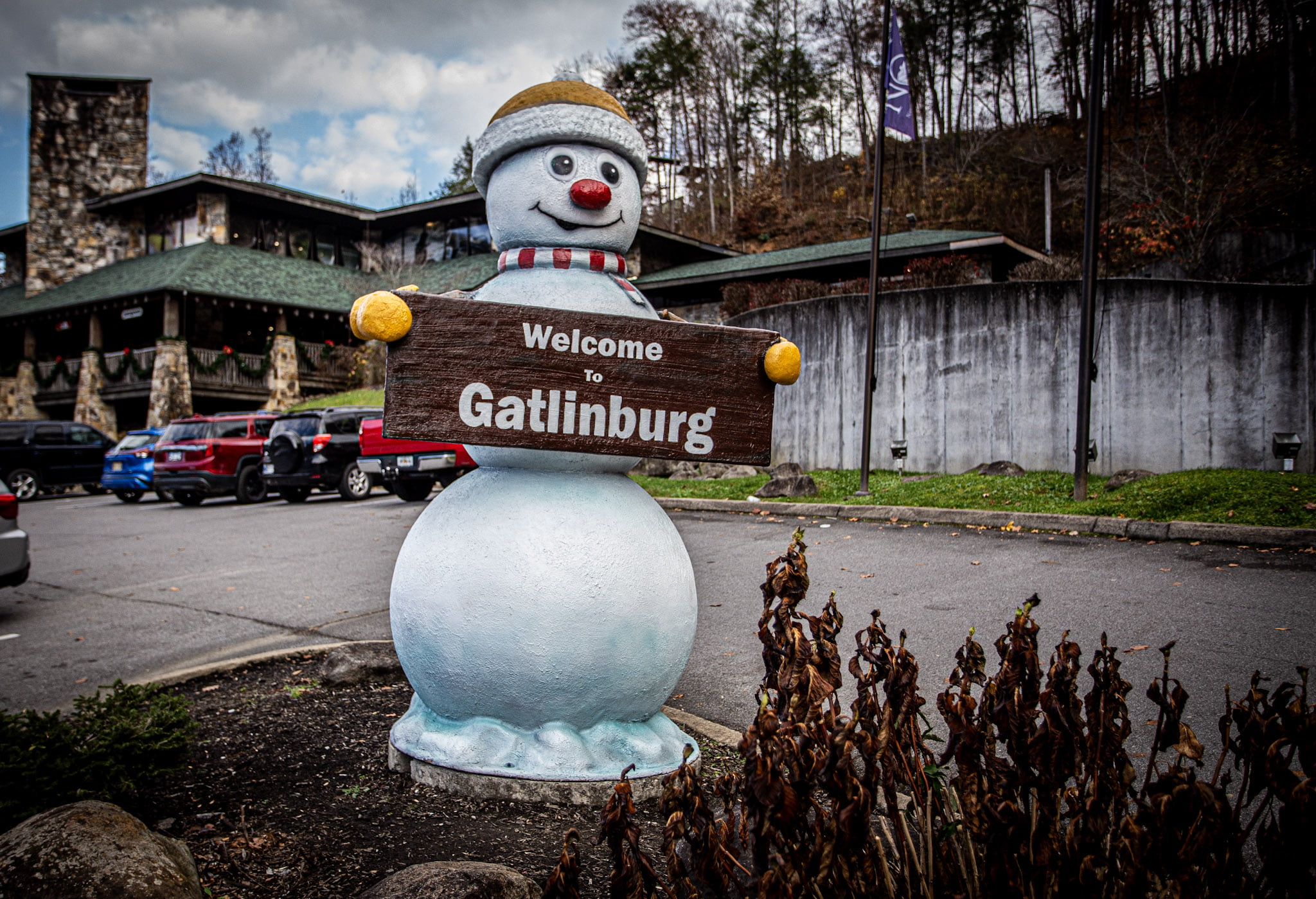 A Recent Visit to the Park Grill