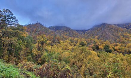 National Park Fees