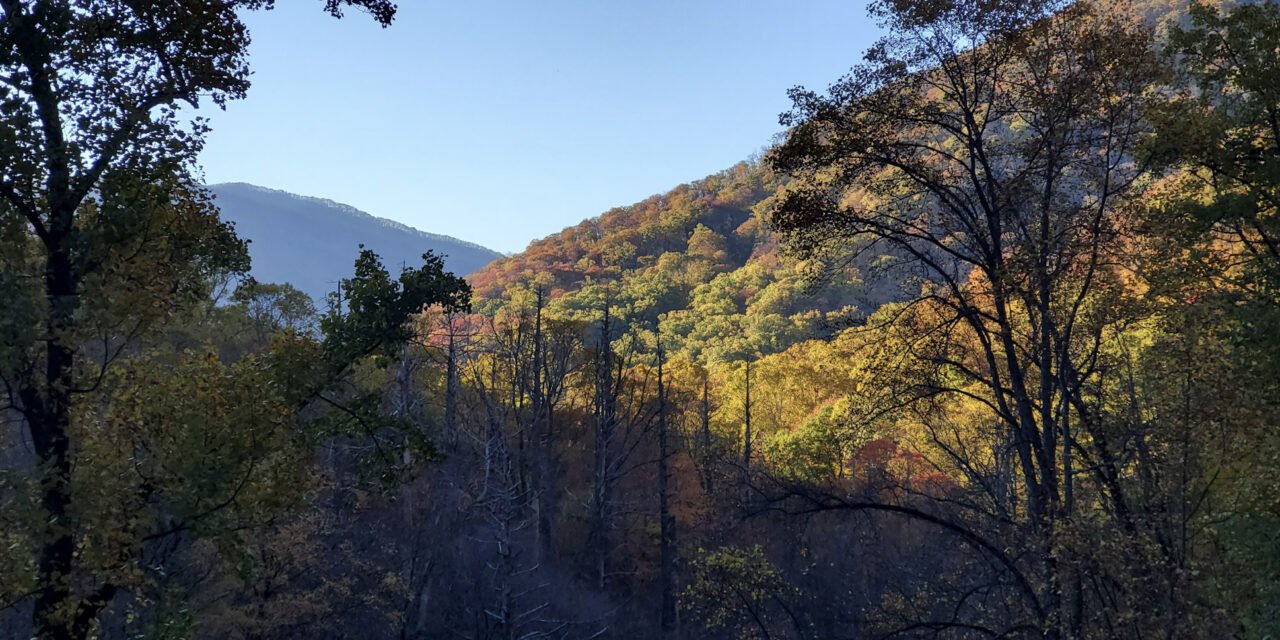 Your Site for Gatlinburg, Pigeon Forge and the Great Smoky Mountains!