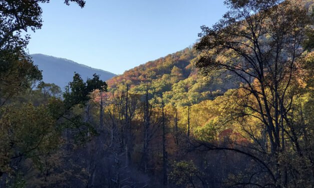 Your Site for Gatlinburg, Pigeon Forge and the Great Smoky Mountains!