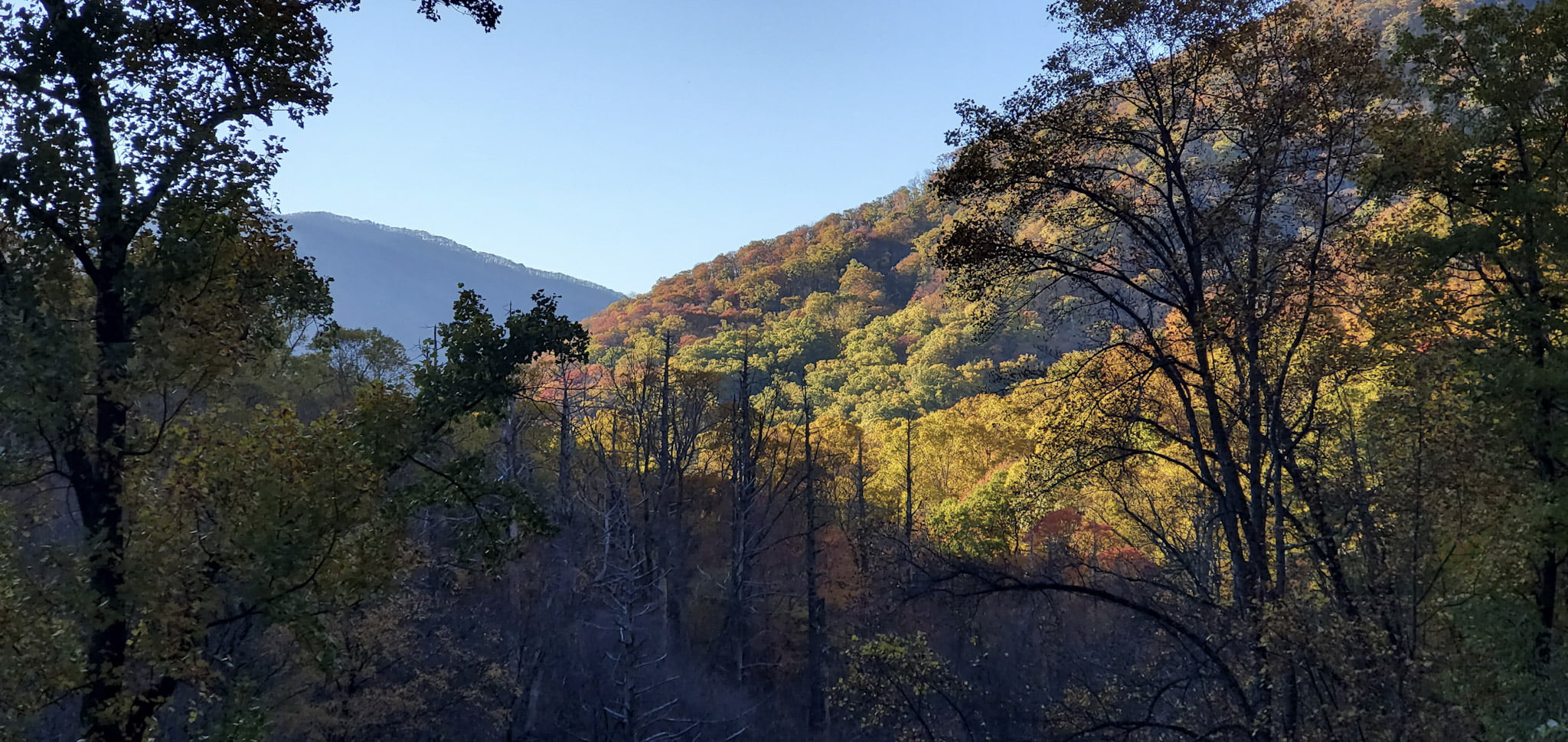 Your Site for Gatlinburg, Pigeon Forge and the Great Smoky Mountains!