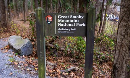 Exploring the Great Smoky Mountains National Park: A Visitor’s Guide for December 2024