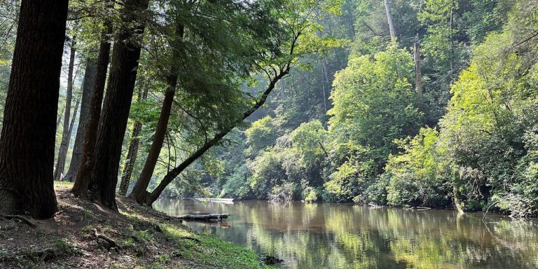 Last Weekend to Camp at Six Smokies Campgrounds: Seasonal Closings Start October 25