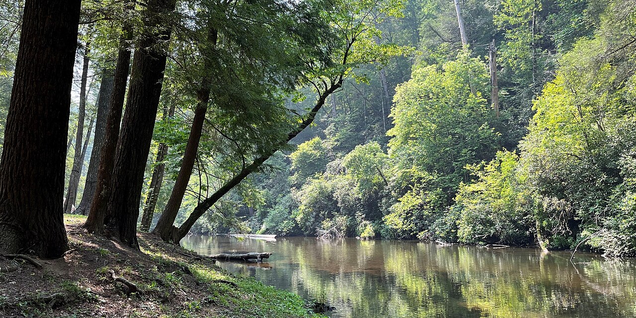 Abrams Creek flowing past tall hemlocks and green forest at Abrams Creek Campground in Great Smoky Mountains National Park