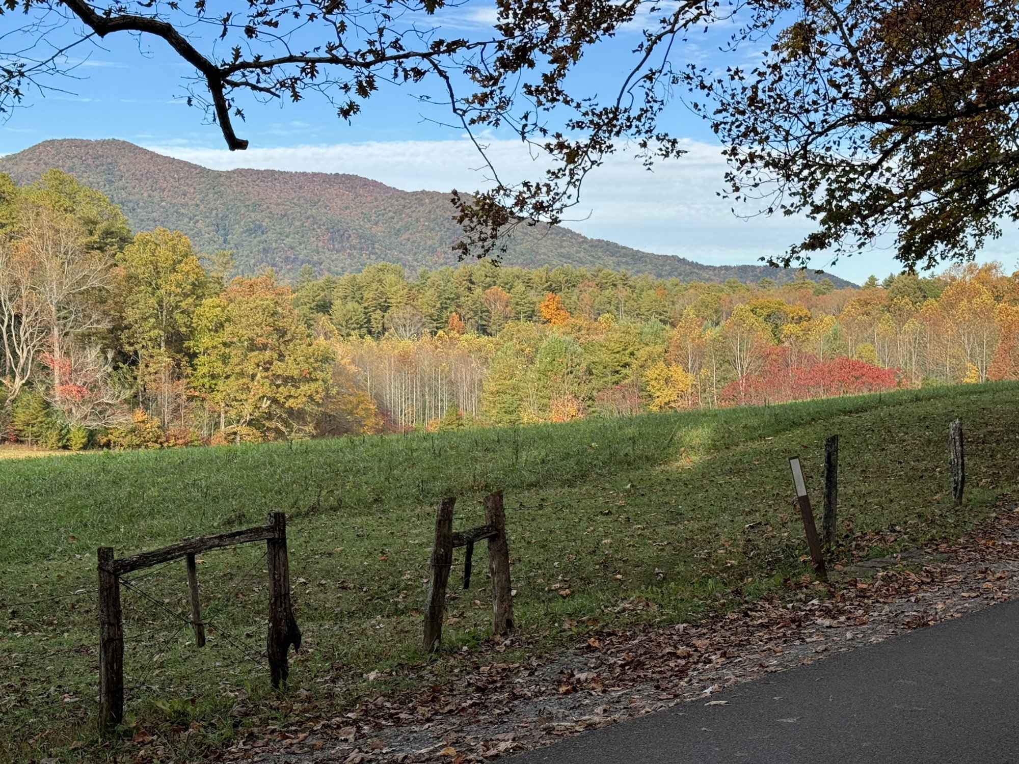 The Cades Cove Loop Road curves past a split-rail fence and a green field, with fall foliage and a forested mountain beyond