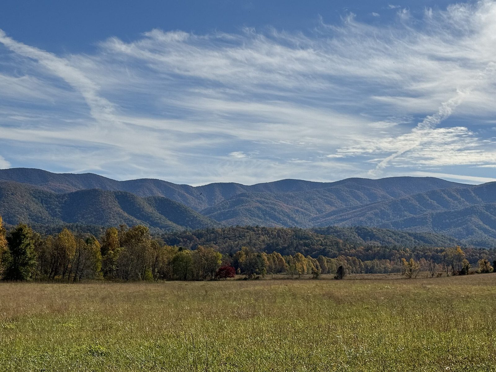 Open meadow in Cades Cove with the Smoky Mountains behind it