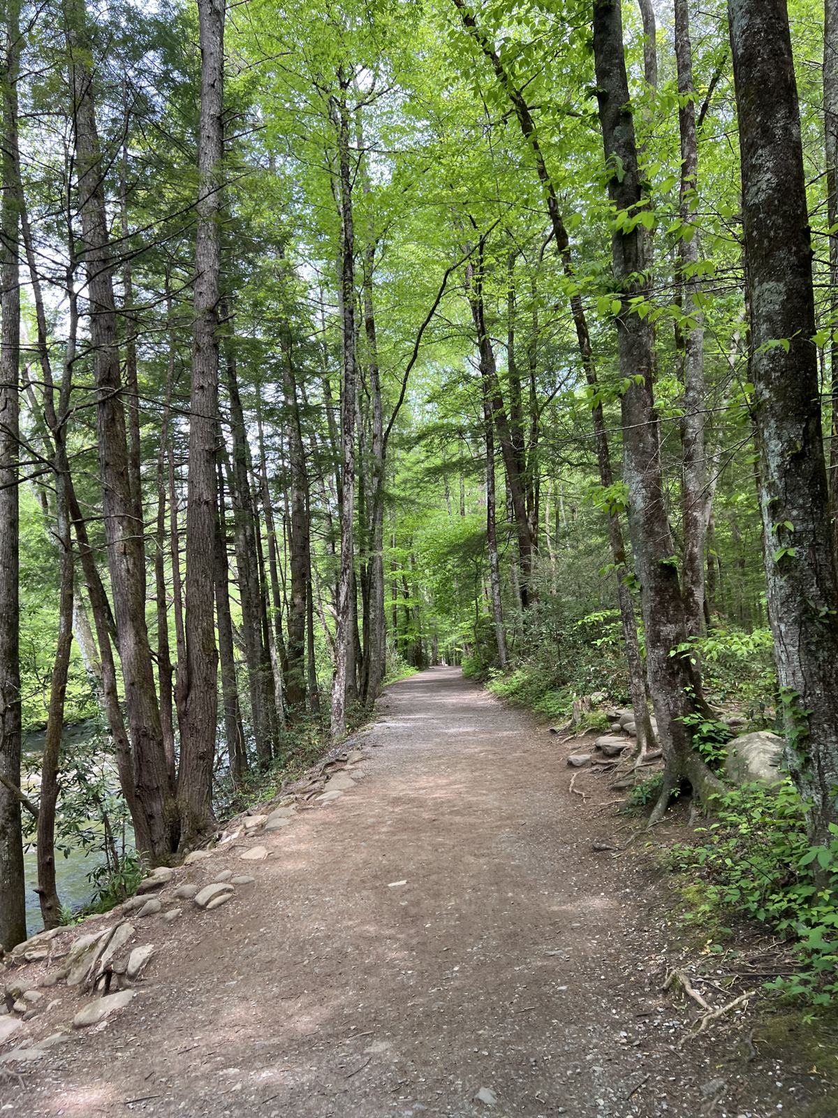 Gatlinburg Trail