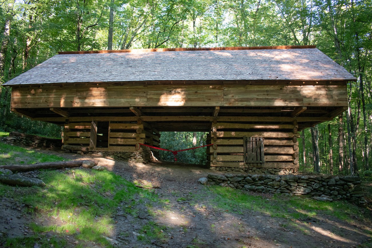 The rebuilt John Messer Barn, a double-cantilever log barn, in the forest along Porters Creek Trail with a red ribbon across the opening