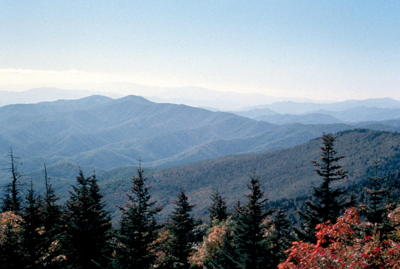 Layers of blue mountain ridges stretch to the horizon from Kuwohi, with red fall leaves and dark spruce trees in the foreground.