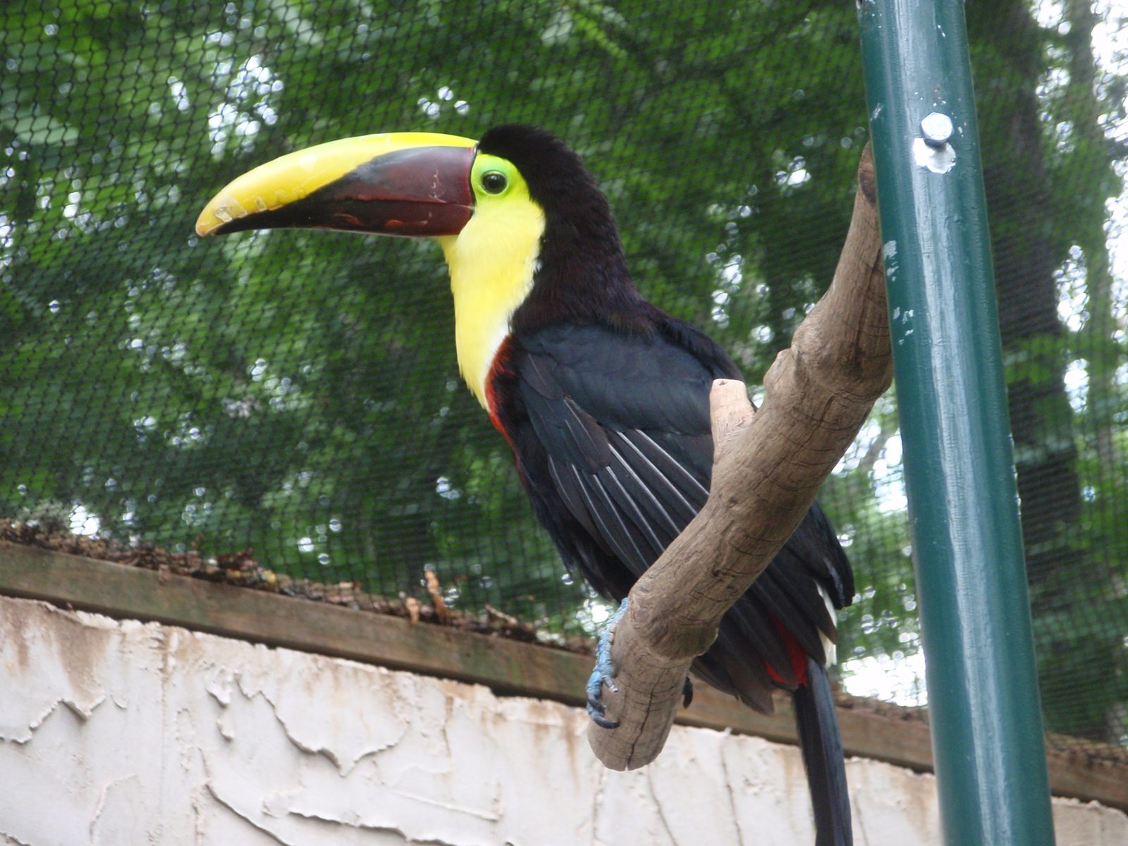 Parrot Mountain and Gardens