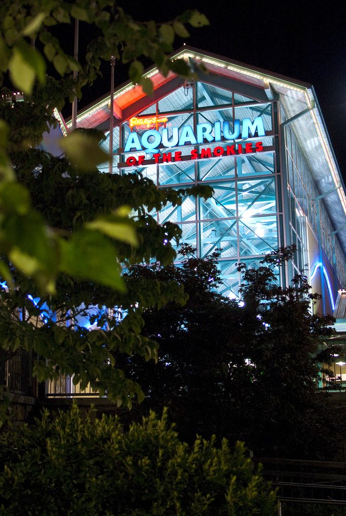 Ripley's Aquarium of the Smokies lit up at night in downtown Gatlinburg