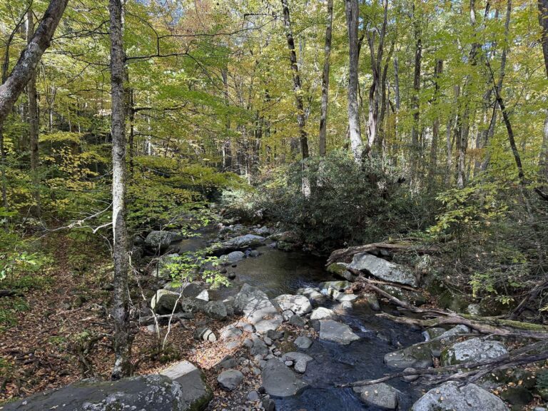Roaring Fork Named One of the World’s Most Haunted Roads: Meet Lucy, Then Drive It Before November 29